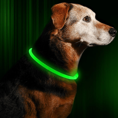 Collier Chien - DogCollarLight™ - Vert - Mon Chien Balade
