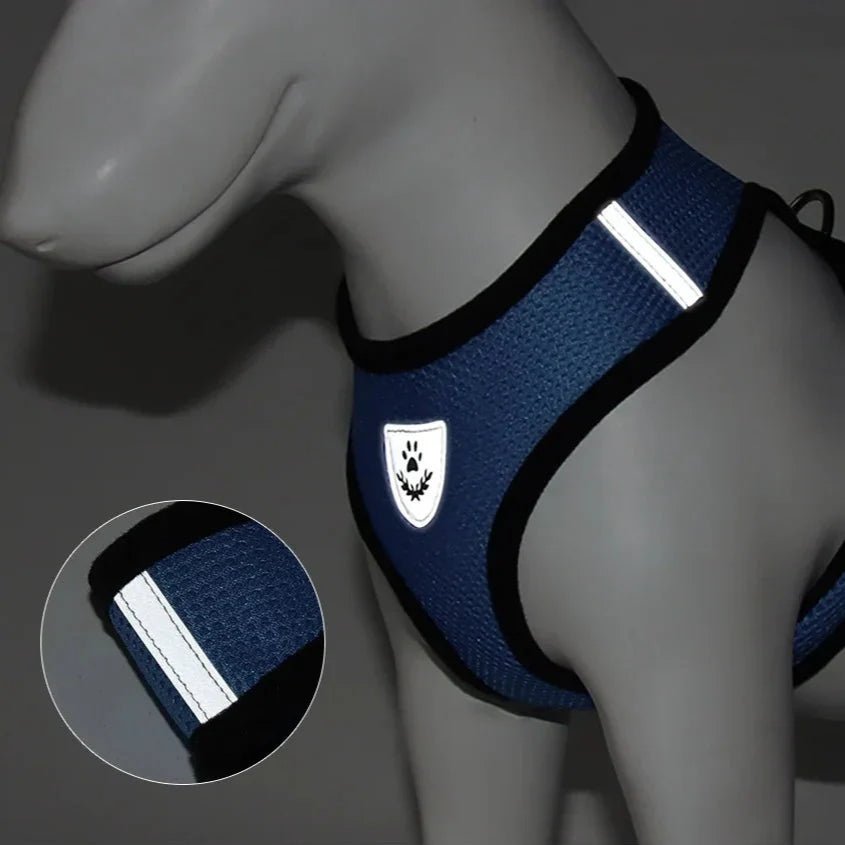 Harnais Petit Chien - DogHarnessLeadLeash™ - Bleu - Mon Chien Balade