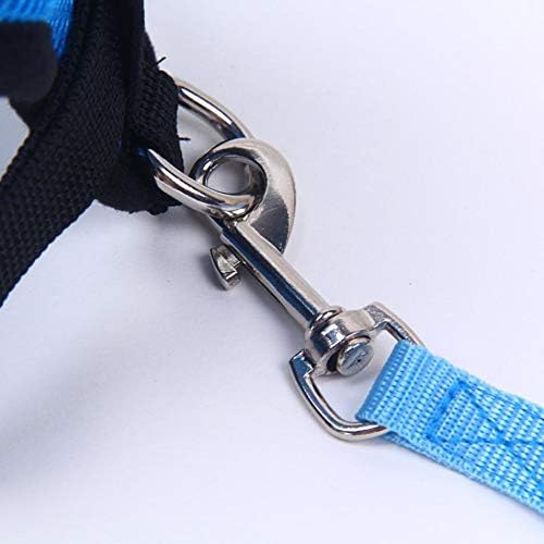 Harnais Petit Chien - DogHarnessLeadLeash™ - Bleu - Mon Chien Balade
