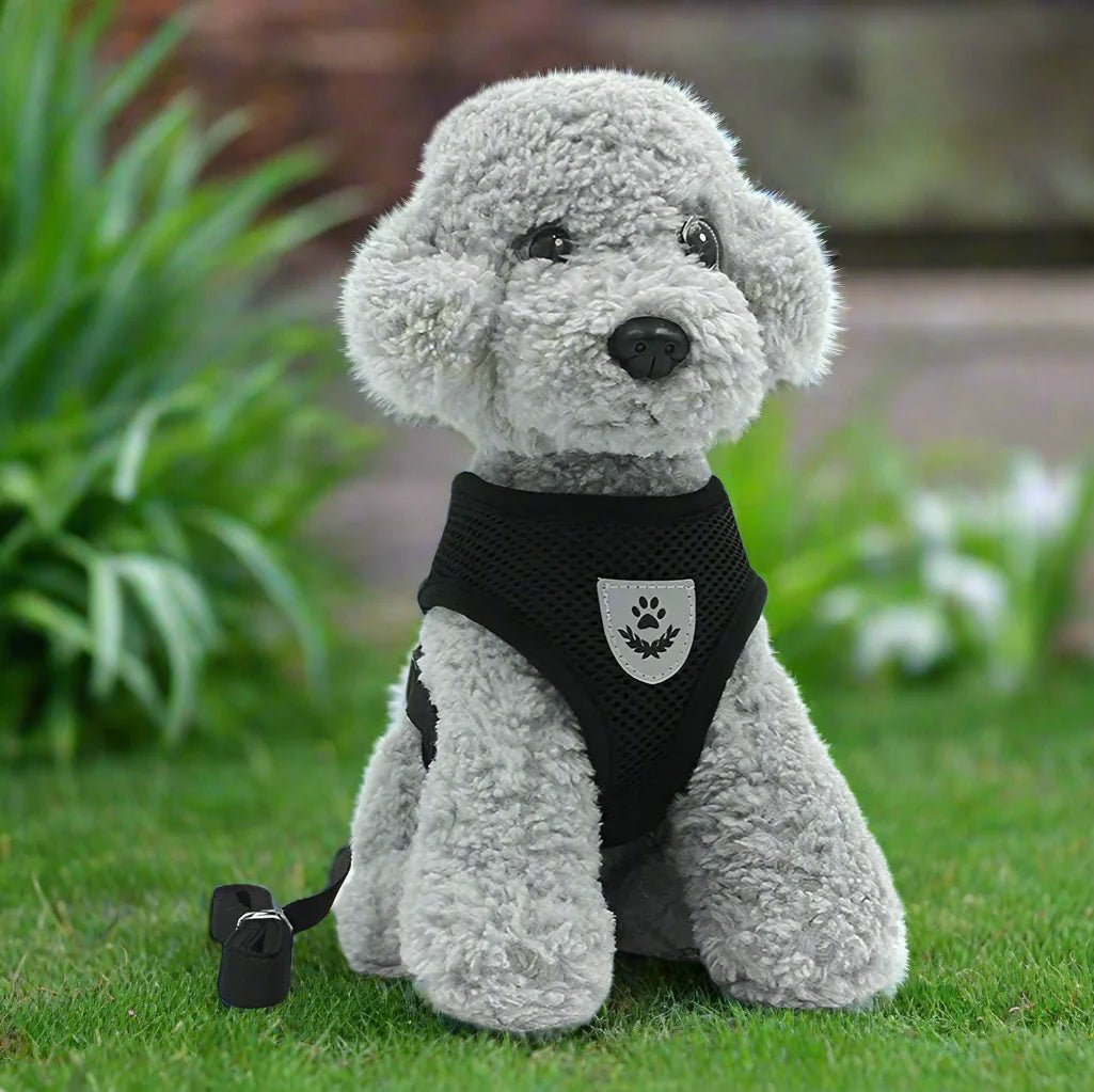 Harnais Petit Chien - DogHarnessLeadLeash™ - Noir - Mon Chien Balade