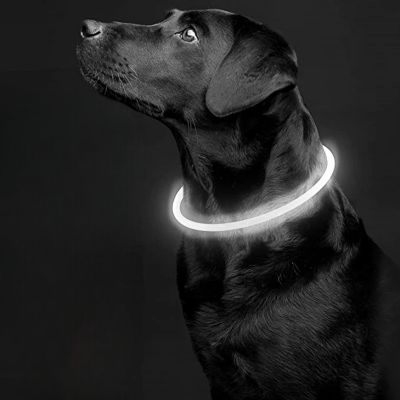 Collier Chien - DogCollarLight™ - Blanc - Mon Chien Balade