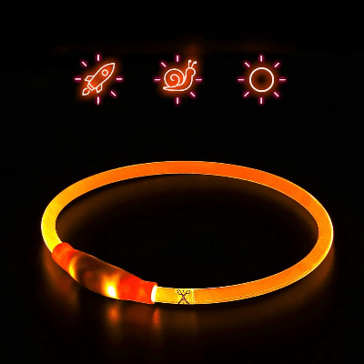 Collier Chien - DogCollarLight™ - Orange - Mon Chien Balade