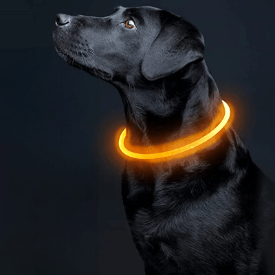 Collier Chien - DogCollarLight™ - Orange - Mon Chien Balade