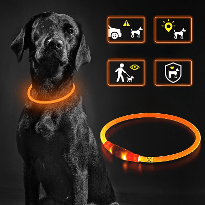 Collier Chien - DogCollarLight™ - Orange - Mon Chien Balade