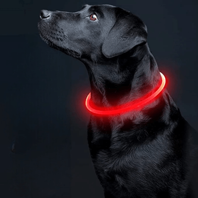 Collier Chien - DogCollarLight™ - Rouge - Mon Chien Balade