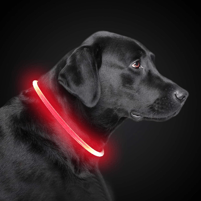 Collier Chien - DogCollarLight™ - Rouge - Mon Chien Balade