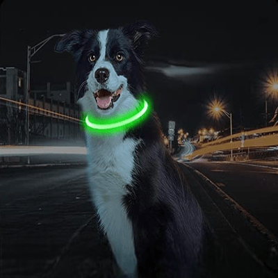 Collier Chien - DogCollarLight™ - Vert - Mon Chien Balade
