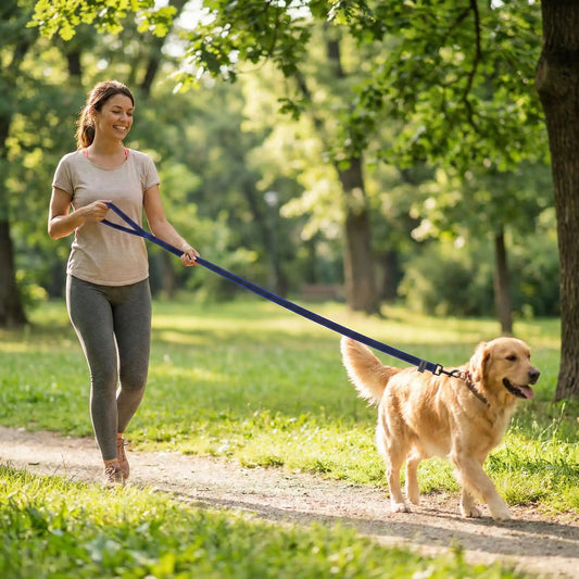 femme promenant chien laisse  bleu noire