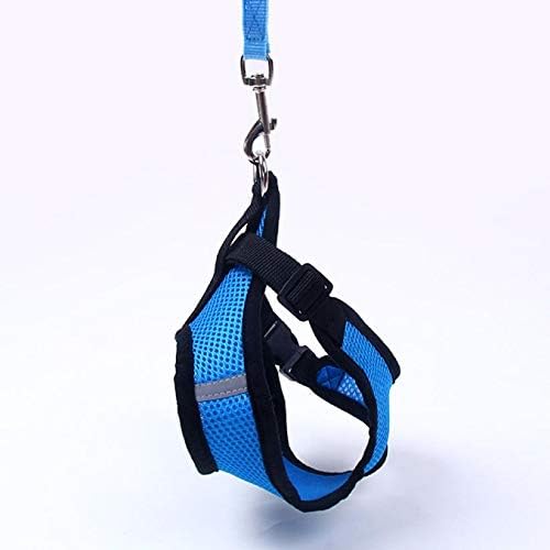 Harnais Petit Chien - DogHarnessLeadLeash™ - Bleu - Mon Chien Balade