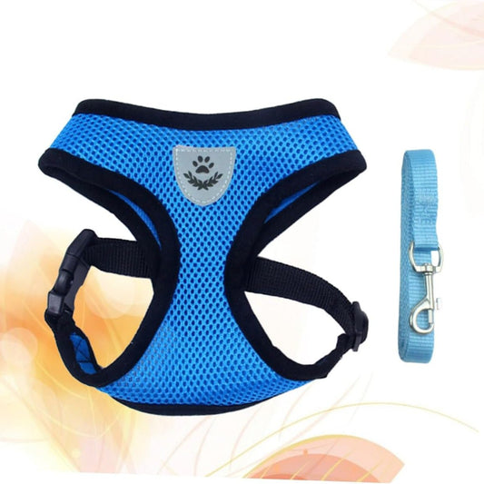 Harnais Petit Chien - DogHarnessLeadLeash™ - Bleu - Mon Chien Balade