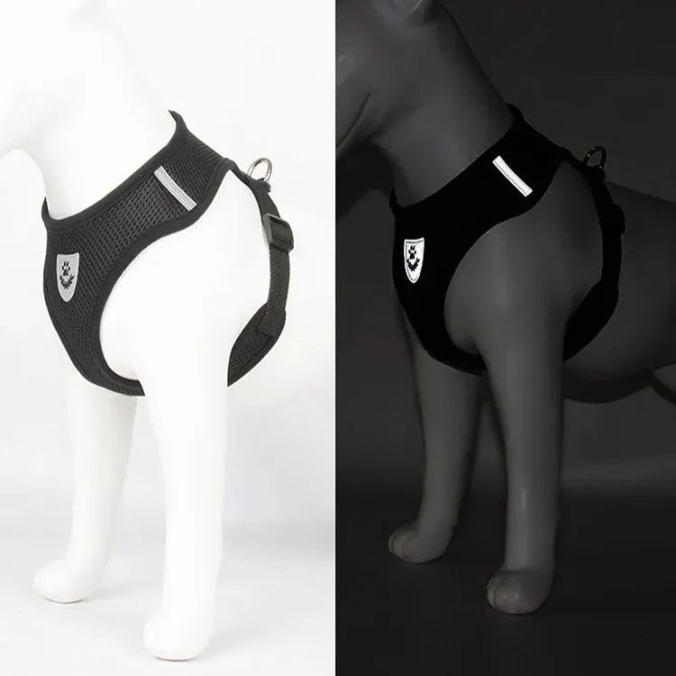 Harnais Petit Chien - DogHarnessLeadLeash™ - Noir - Mon Chien Balade