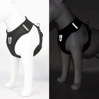 Harnais Petit Chien - DogHarnessLeadLeash™ - Noir - Mon Chien Balade