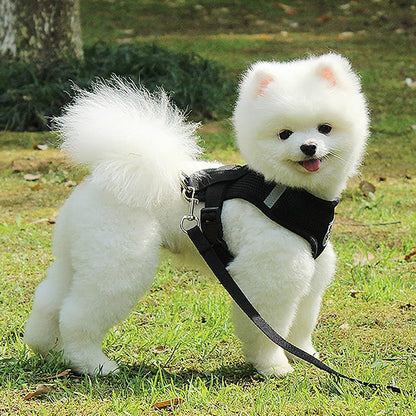 Harnais Petit Chien - DogHarnessLeadLeash™ - Noir - Mon Chien Balade