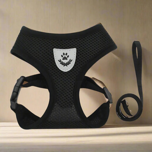 Harnais Petit Chien - DogHarnessLeadLeash™ - Noir - Mon Chien Balade