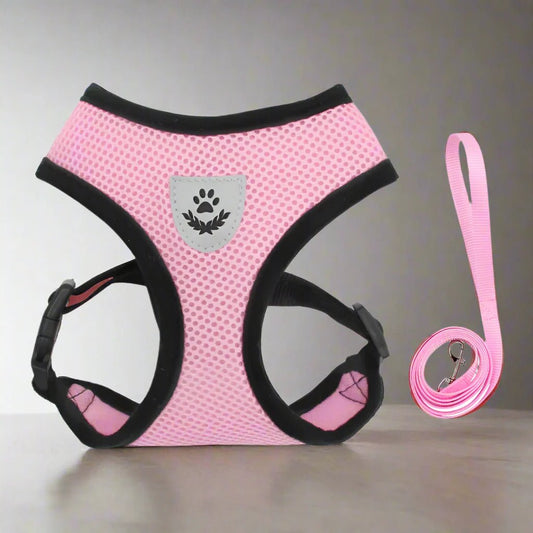 Harnais Petit Chien - DogHarnessLeadLeash™ - Rose - Mon Chien Balade