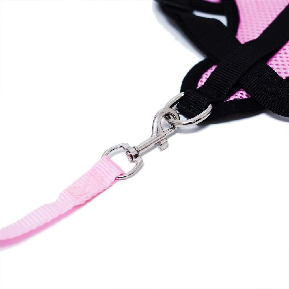 Harnais Petit Chien - DogHarnessLeadLeash™ - Rose - Mon Chien Balade