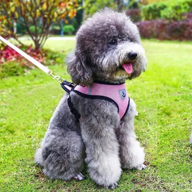 Harnais Petit Chien - DogHarnessLeadLeash™ - Rose - Mon Chien Balade