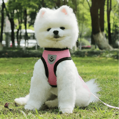 Harnais Petit Chien - DogHarnessLeadLeash™ - Rose - Mon Chien Balade