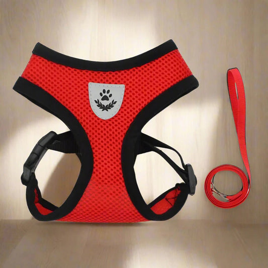 Harnais Petit Chien - DogHarnessLeadLeash™ - Rouge - Mon Chien Balade