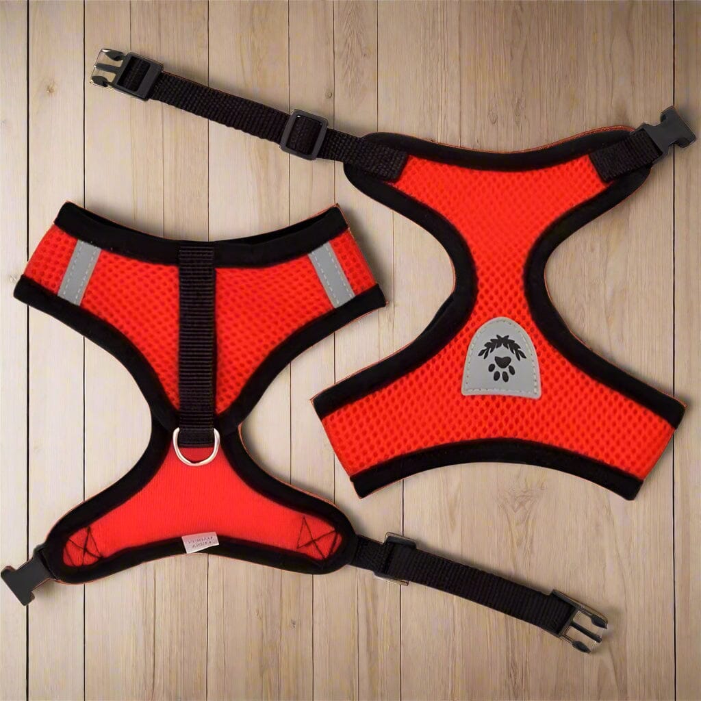 Harnais Petit Chien - DogHarnessLeadLeash™ - Rouge - Mon Chien Balade
