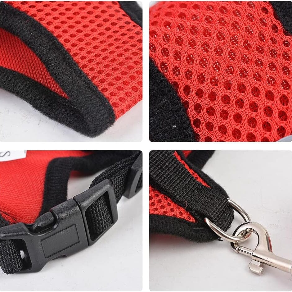 Harnais Petit Chien - DogHarnessLeadLeash™ - Rouge - Mon Chien Balade