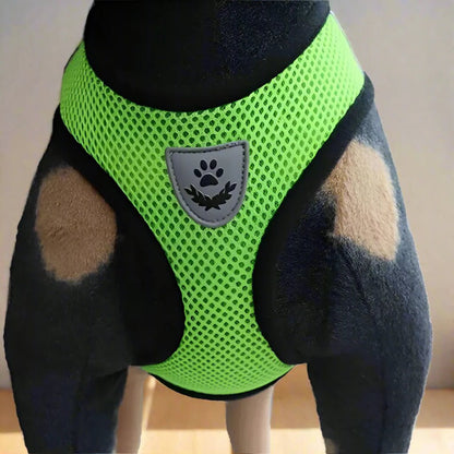 Harnais Petit Chien - DogHarnessLeadLeash™ - Vert - Mon Chien Balade