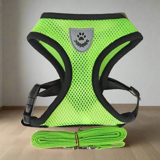 Harnais Petit Chien - DogHarnessLeadLeash™ - Vert - Mon Chien Balade