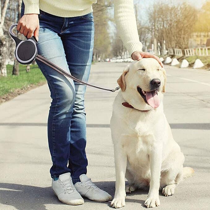 Laisse de chien - MaxLeash™ - Noir - Mon Chien Balade