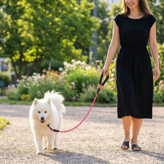 Laisse pour chien | Réfléchissante NightSafe - Mon Chien Balade