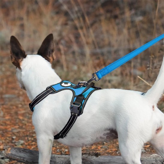 Laisse pour chien Réglable | Ultra - Résistante et confortable - Mon Chien Balade