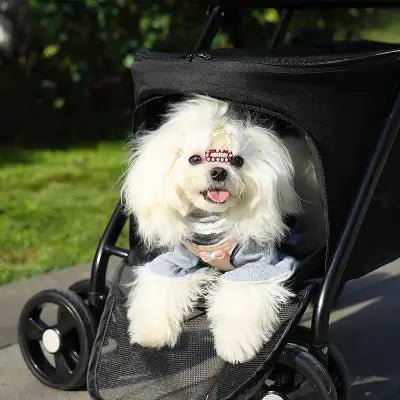 Poussette pour Chien - PetStroller™ - Noir - Mon Chien Balade