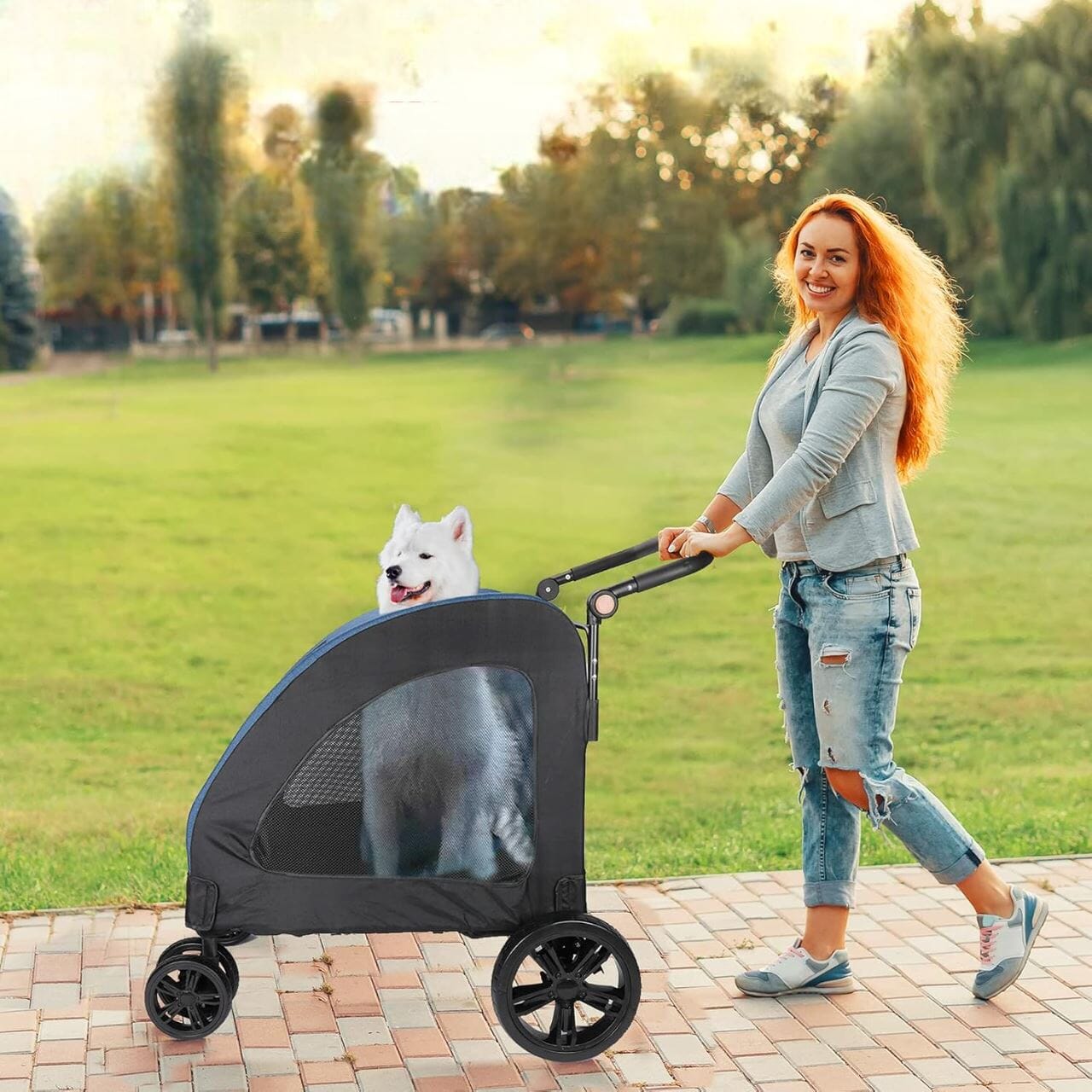 Poussette pour Chien - StrollyPet™ - Bleu - Mon Chien Balade