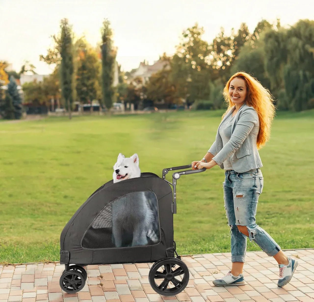 Poussette pour Chien - StrollyPet™ - Noir - Mon Chien Balade